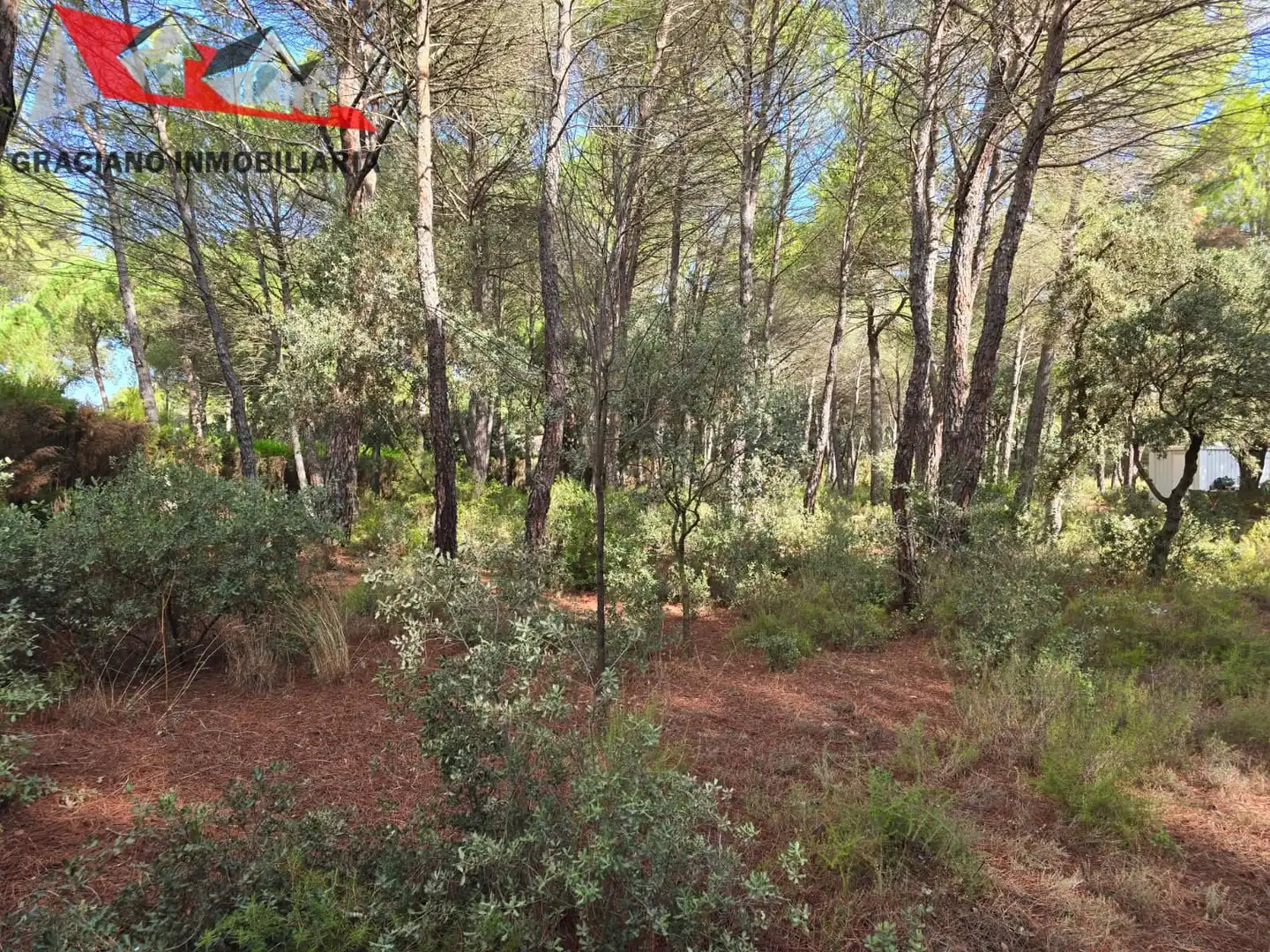 Terreno residenziale in vendita a Pedanías - Extrarradio, imagen 9