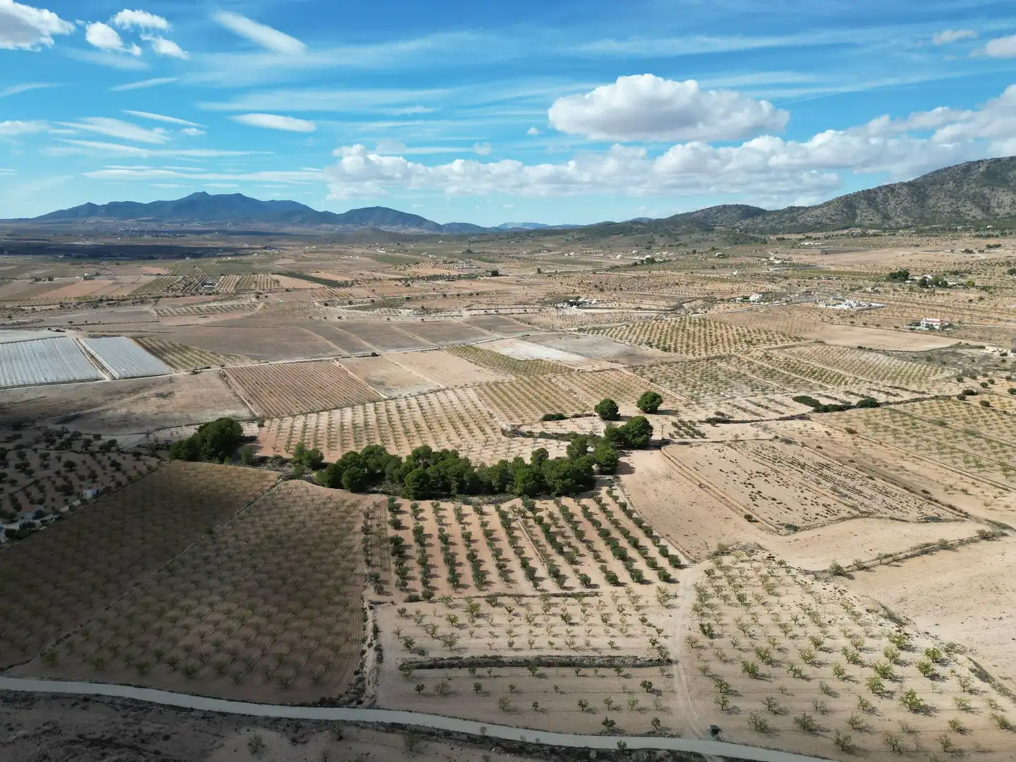 Terreno residencial en venta en El Pinós / Pinoso, imagen 16