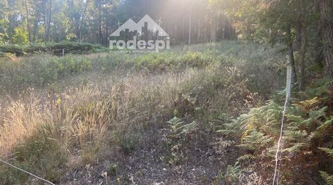 en Salvaterra De Miño, imatge 5