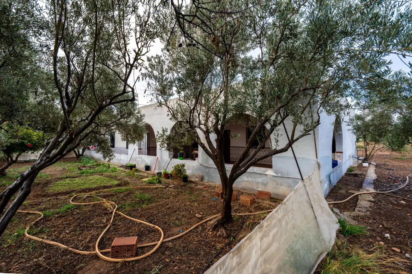 Garten von Country house zum Verkauf in Níjar mit Klimaanlage und Abstellraum