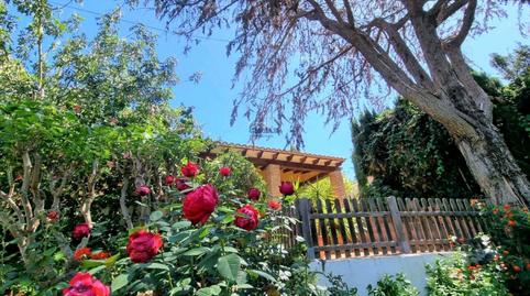 Foto 4 de Casa o xalet en venda a Centro Urbano, Alicante