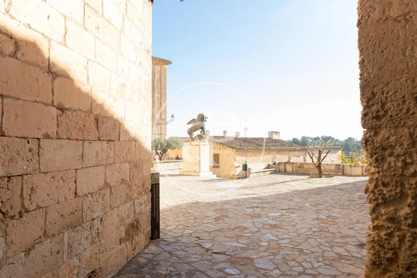 Vista exterior de Casa adosada en venda en Sineu amb Calefacció, Terrassa i Traster