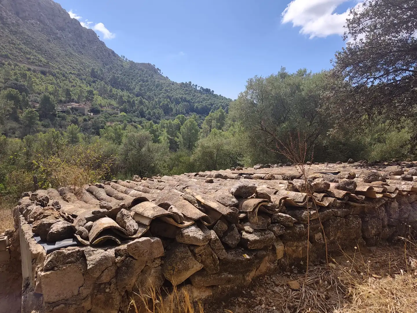 Terreny rústic en venda a Andratx pueblo, imagen 20