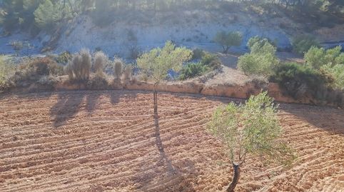 Venta de finca rustica para construir una vivienda unifamiliar u organizar un proyecto turístico, immagine 5