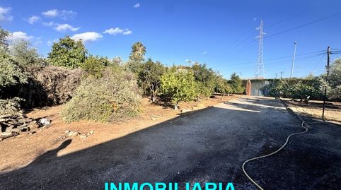 Foto 2 de Finca rústica en venta en San Roque - La Cruz - La Rozuela, Linares