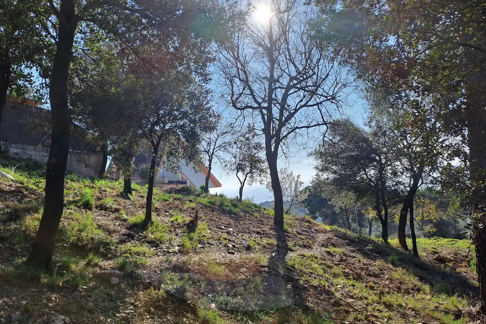 Lands and plots for sale in CANIGO, imagen 14