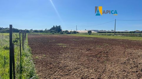Foto 4 de Terreno en venta en Roche, Conil de la Frontera