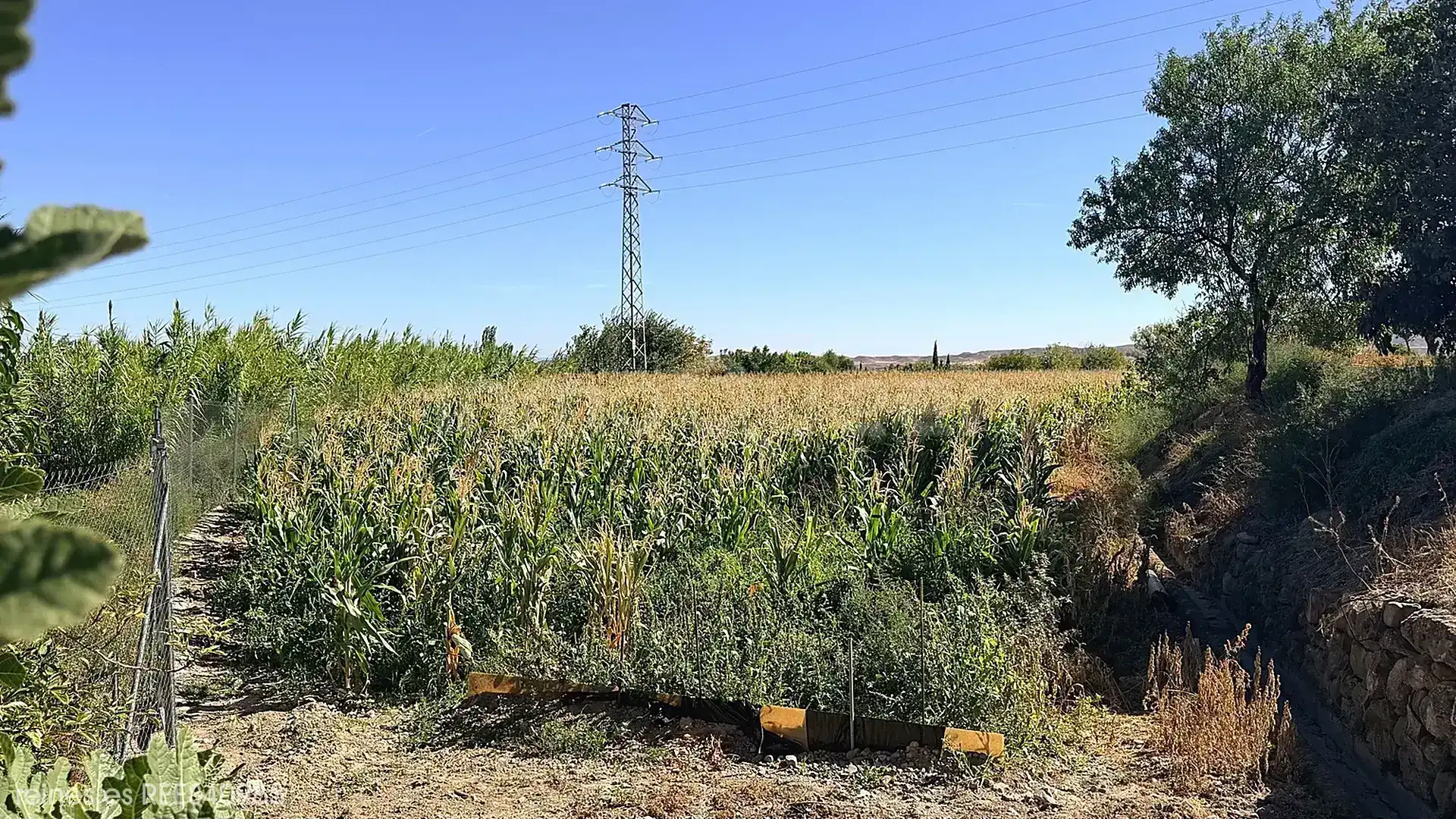 Rural land for sale in N/A, imagen 14