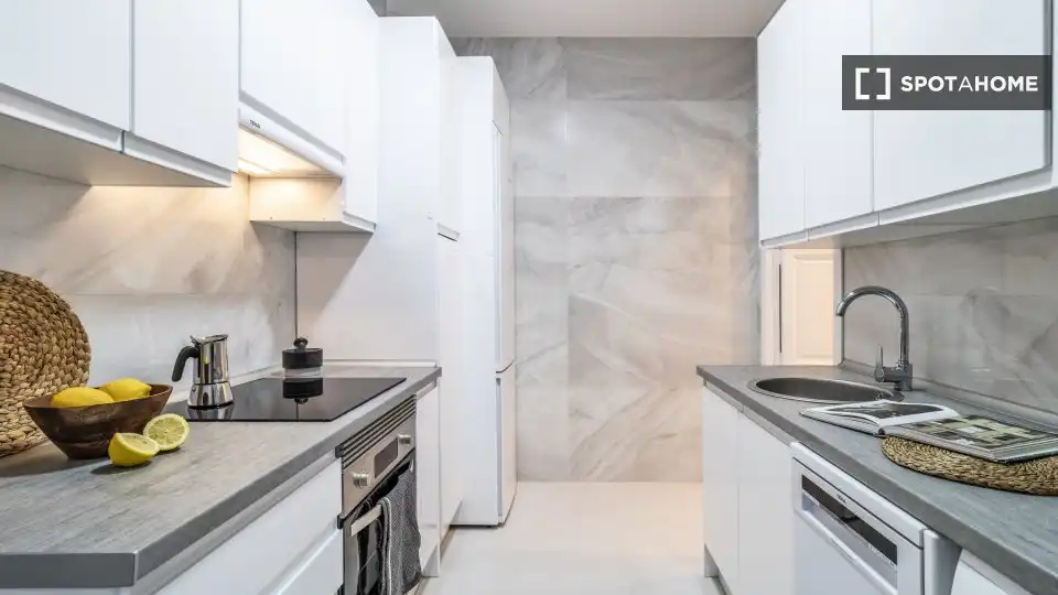 Cuina de Apartament per a compartir en Madrid amb Aire condicionat, Terrassa i Moblat