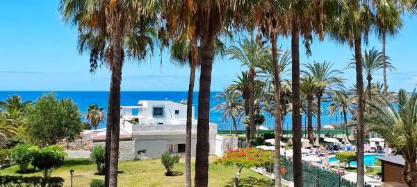 Exterior view of Study for sale in Arona  with Furnished, Balcony and Community pool