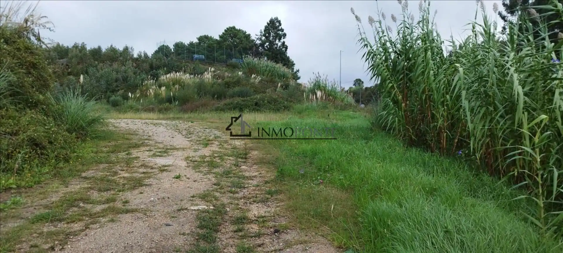 Lands and plots for sale in VINQUIÑO-ADINA Polígono 47 Parcela 526, imagen 5