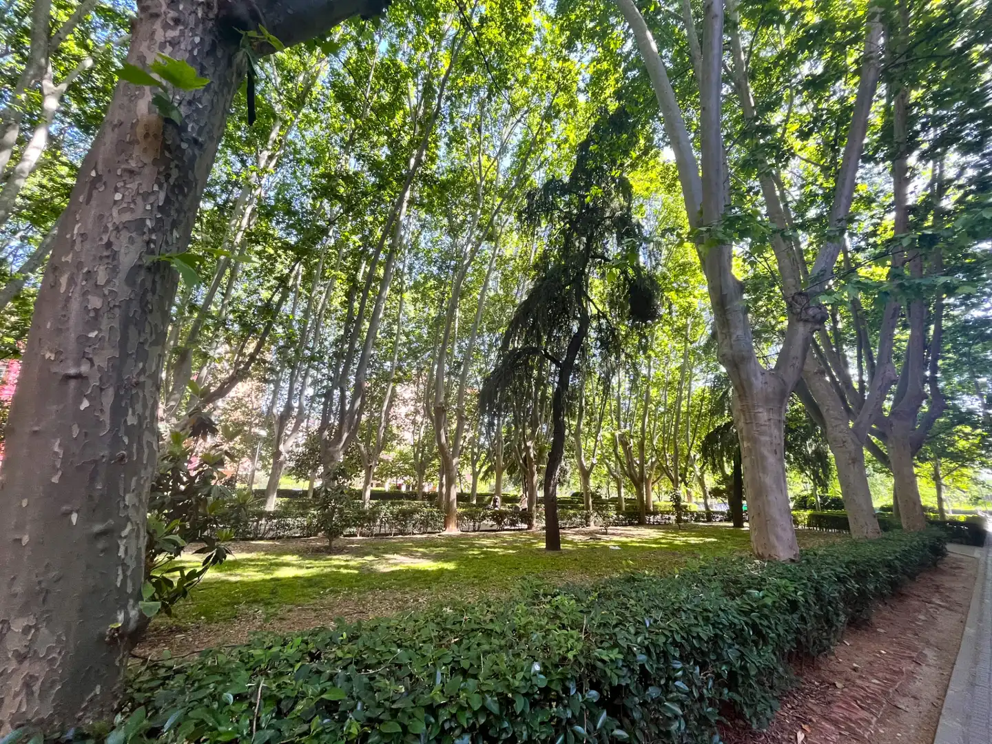 Gewerbefläche zum Verkauf in Paseo de las Yeserías, imagen 23