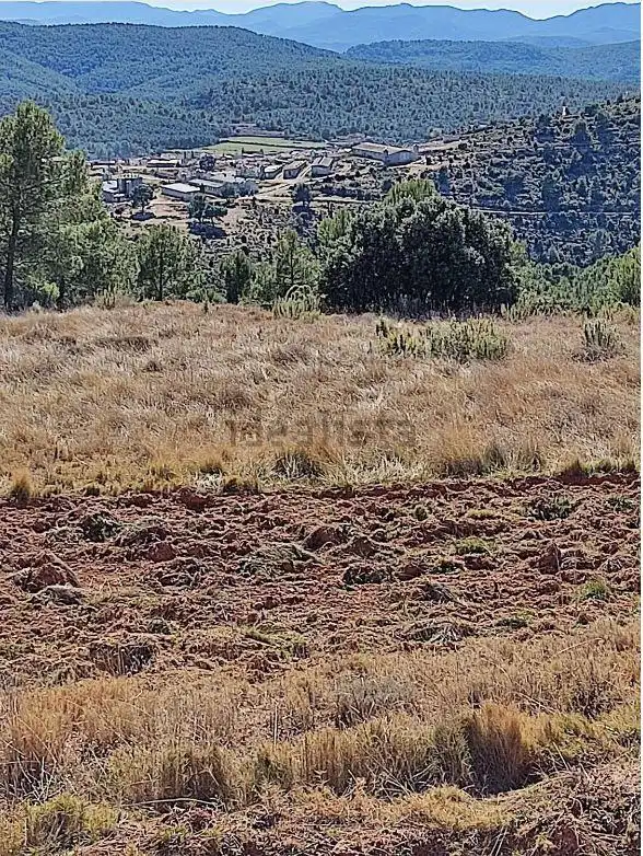 Finca rústica en venda en Zucaina
