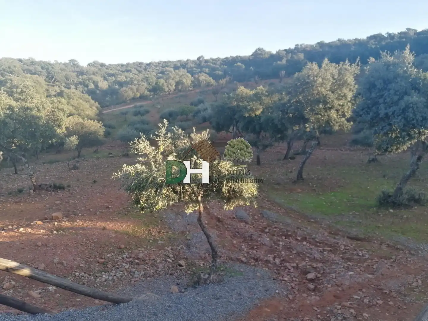Finca rústica en venta en Estación Arroyo Malpartida