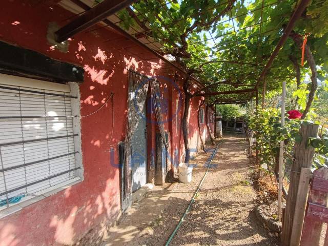 Terreno en Venta en El Brillante -El Naranjo - El Tablero