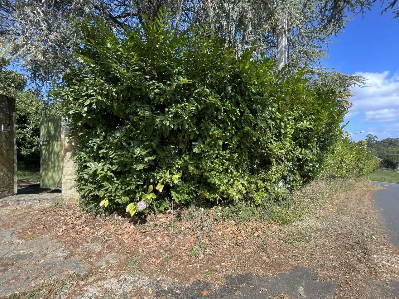 Casa amb terrassa en venda a Aldea Riobao, imagen 73