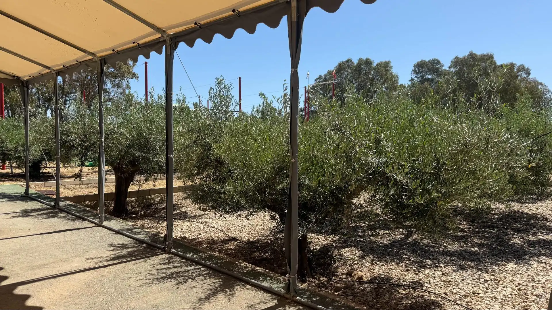 Terrasse von Gebäude zum Verkauf in Turre