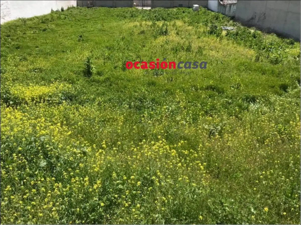2 SOLARES DE 450 M2 CADA UNO A LA VENTA EN BELMEZ, imatge 5