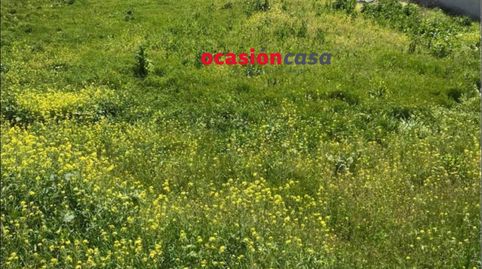 2 SOLARES DE 450 M2 CADA UNO A LA VENTA EN BELMEZ, imatge 5