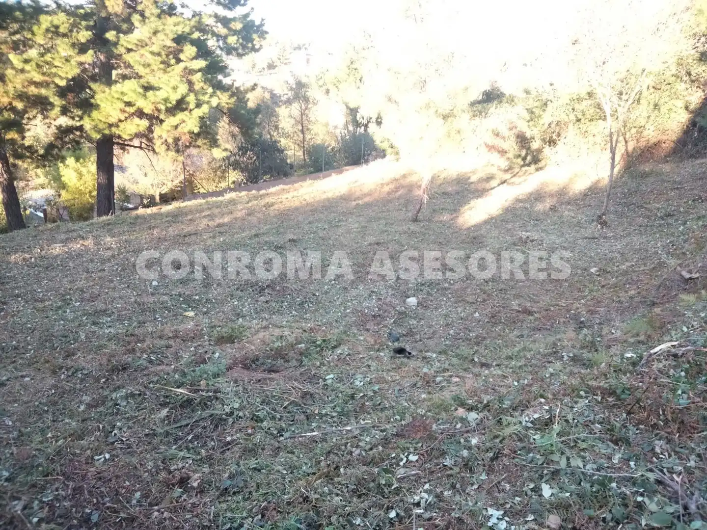 Terreno residenziale in vendita a Riudarenes, imagen 2