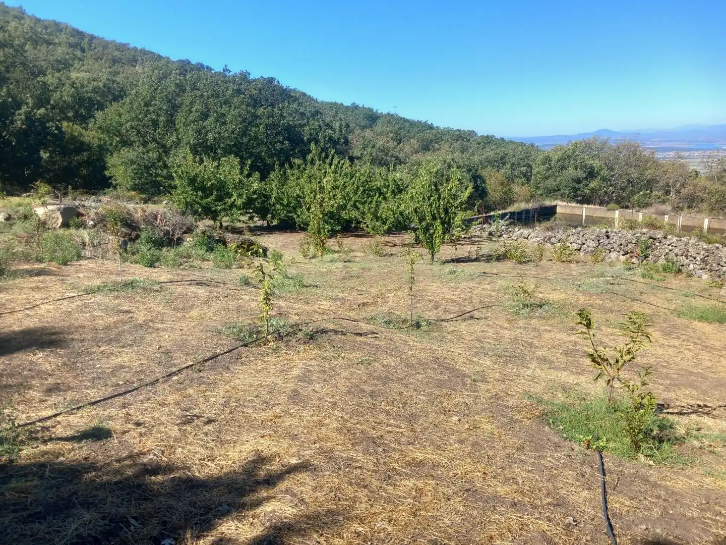Terreno en venta en Gargantilla