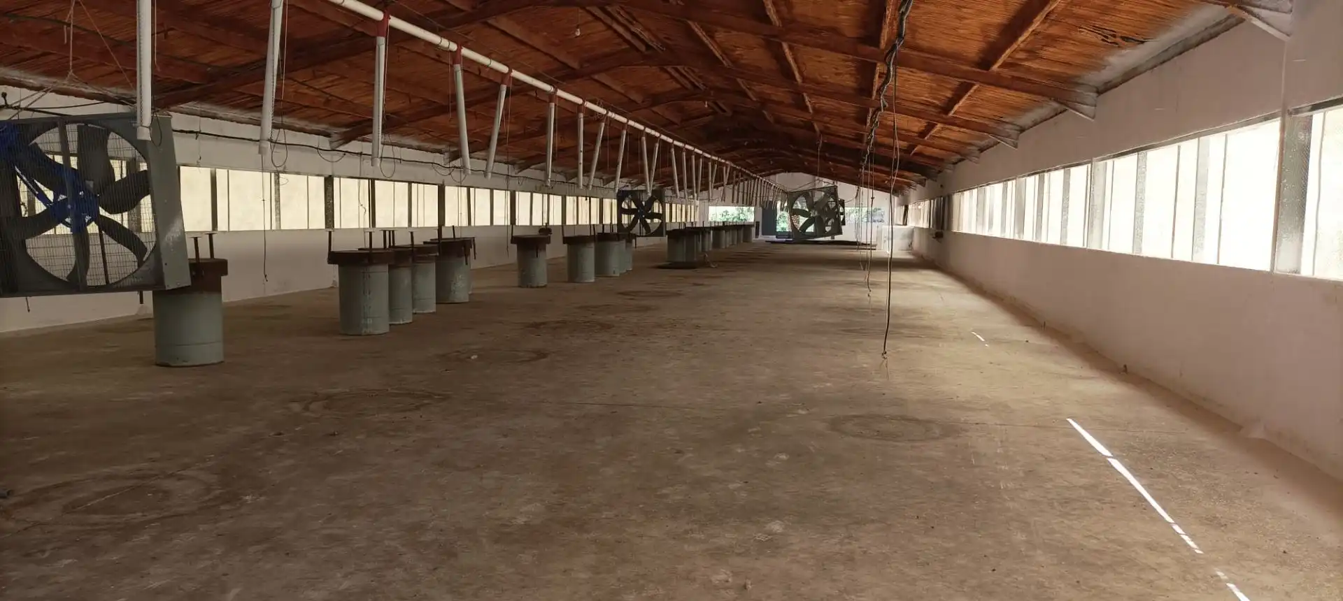 Industrial building to rent in Arriate, imagen 12