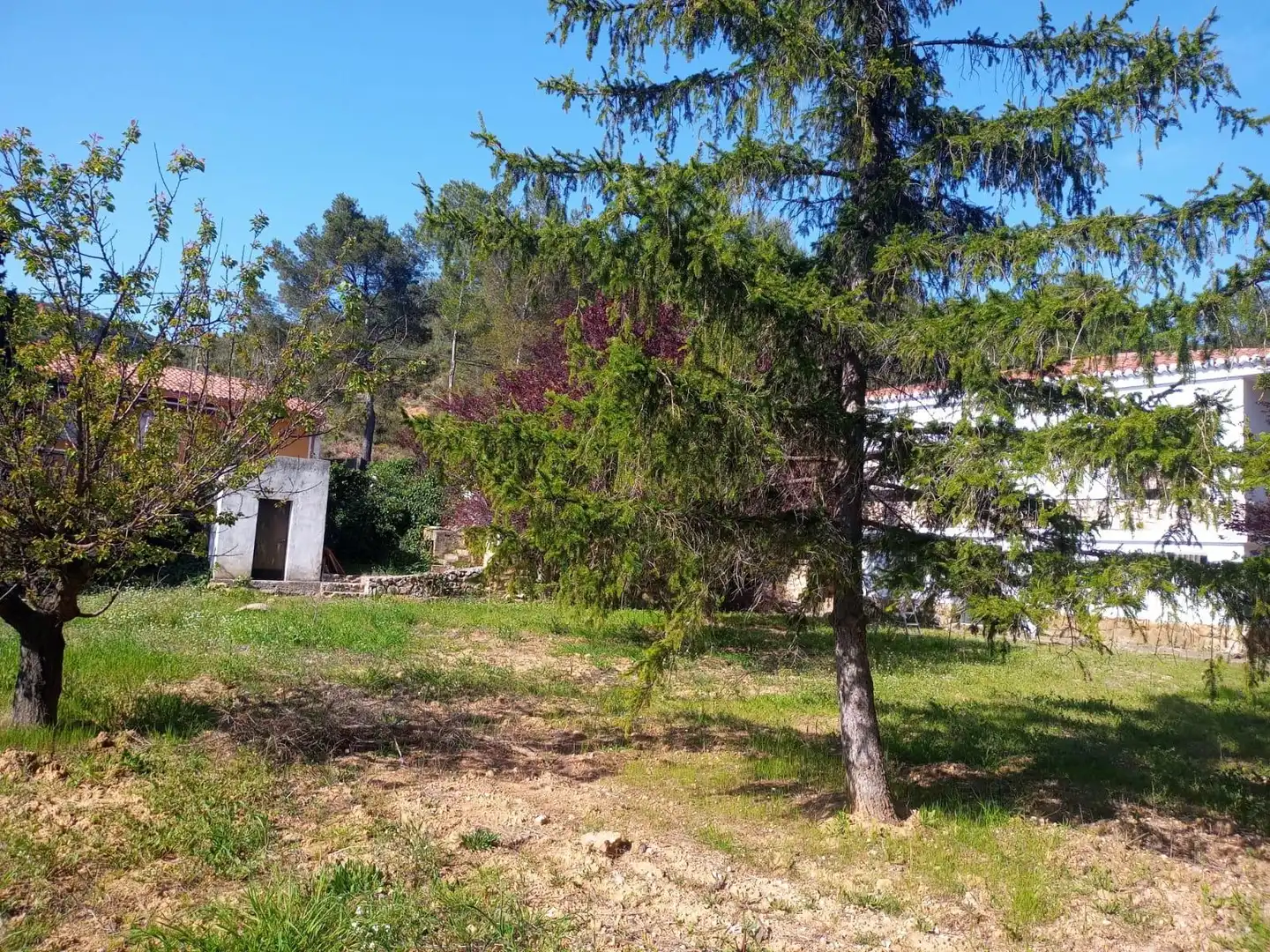 Villa mit Terrasse zum Verkauf in Buñol, imagen 17