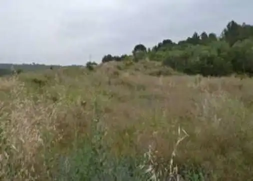 Terrenys i solars en venda a sect 40 Llevant de Pau Casals, imagen 2