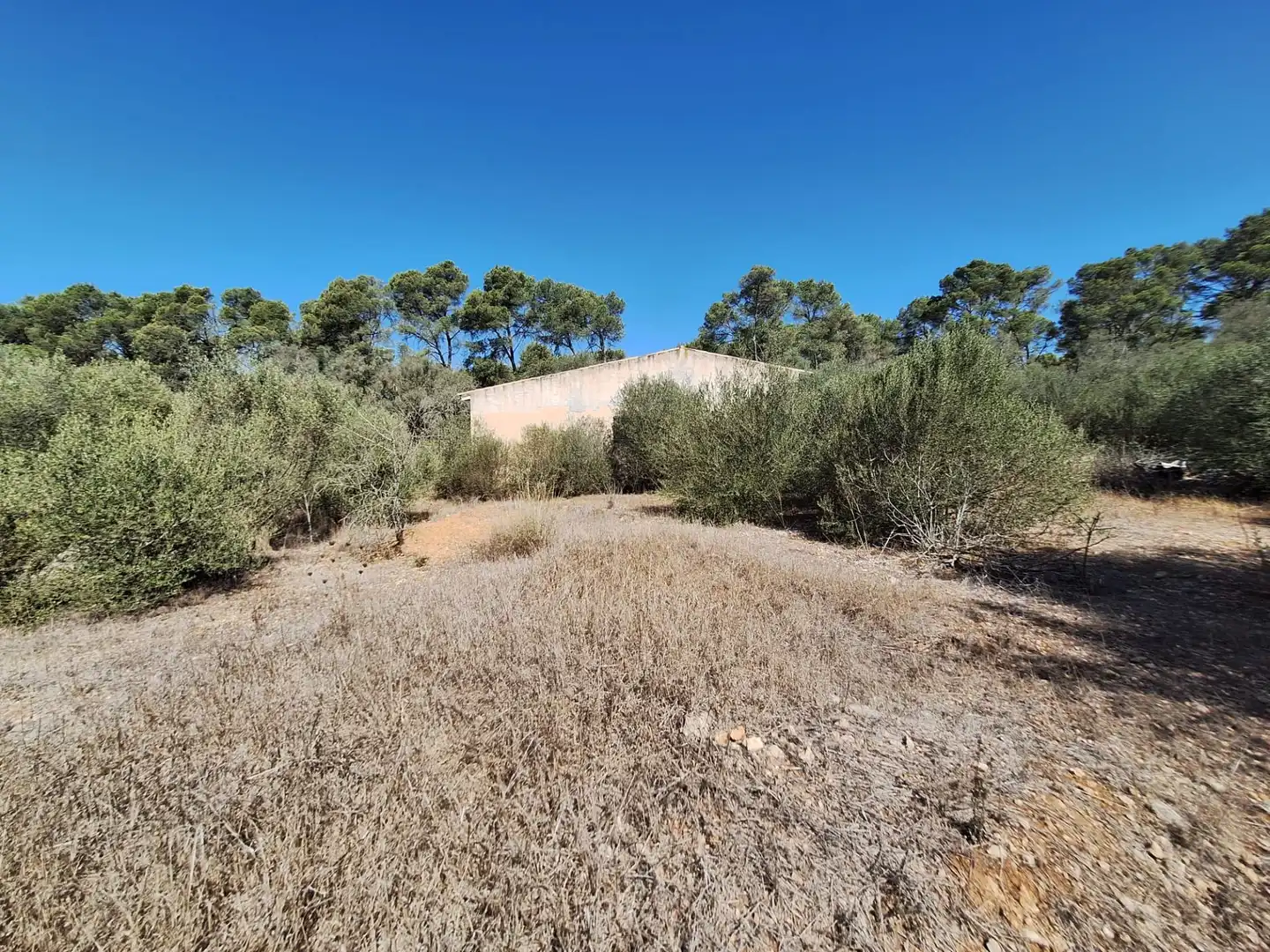 Terreno rustico in vendita a Algaida, imagen 16