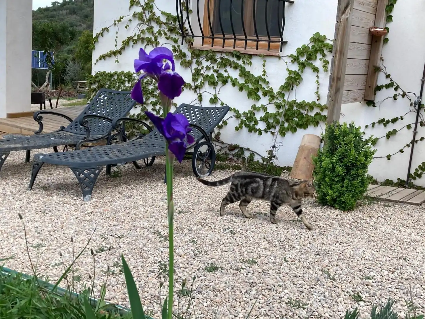 Jardín de Finca rústica en venta en Freginals con Terraza y Trastero