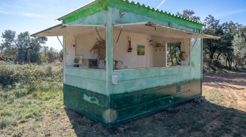 Finca rústica con olivos y frutales. Agua de riego de pozo propio. Construcción metálica., imagen 2