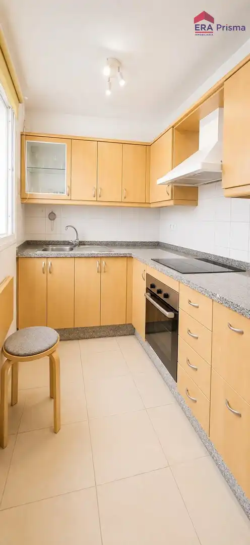 Flat with terrace to rent in Zona Botánico, imagen 5