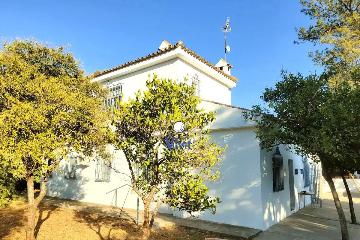 Vista exterior de Casa o chalet en venta en Carmona con Terraza y Trastero