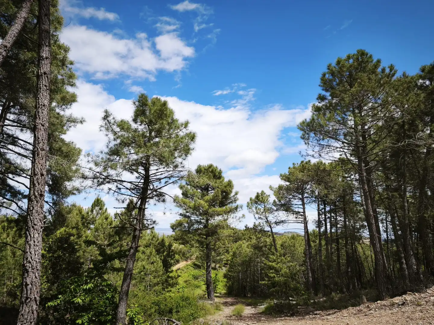 Casa o chalet en venta en El Frasno con Terraza, Amueblado y Horno