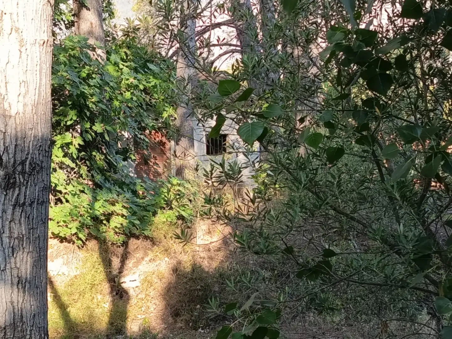 Rustikales Grundstück zum Verkauf in Cami Via de Servei 3, imagen 12
