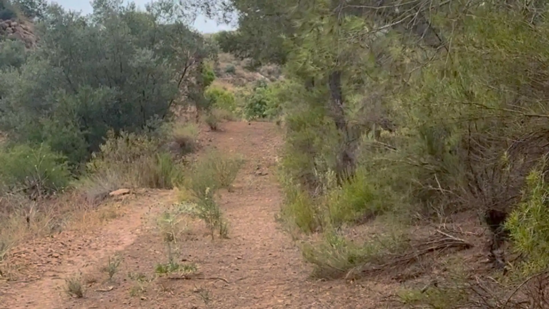 Country homes for sale in Lorca  with Private garden