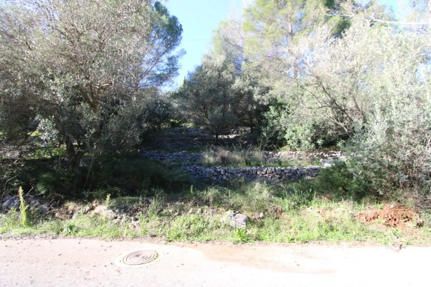 Terrenys i solars en venda a Murla, imagen 6