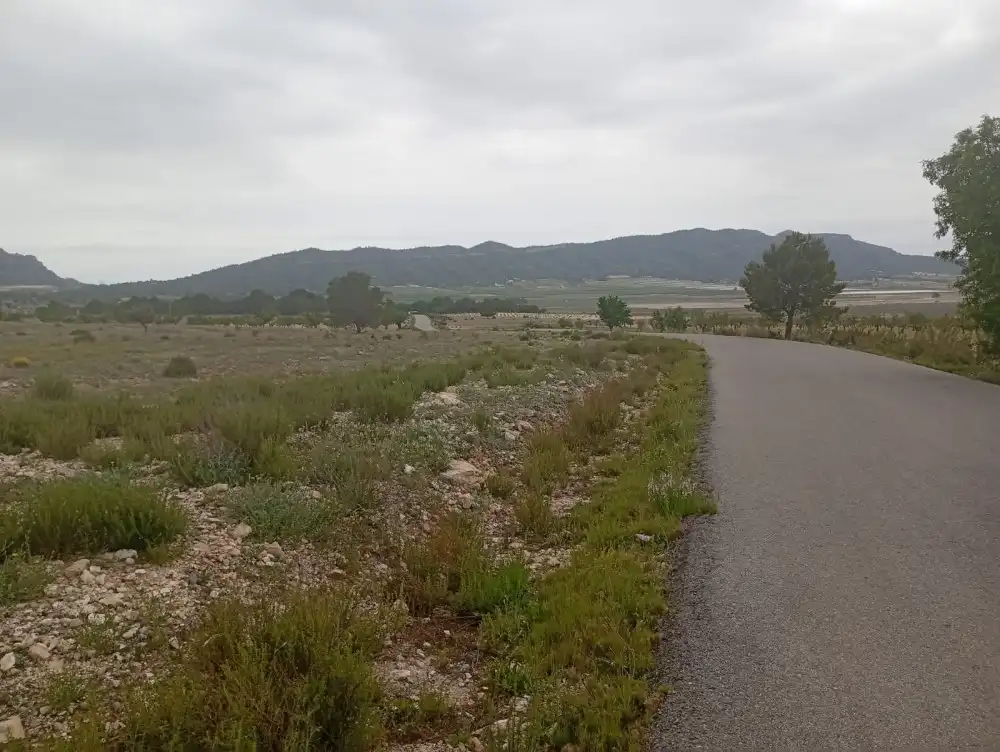 Residential land for sale in Salinas, imagen 2