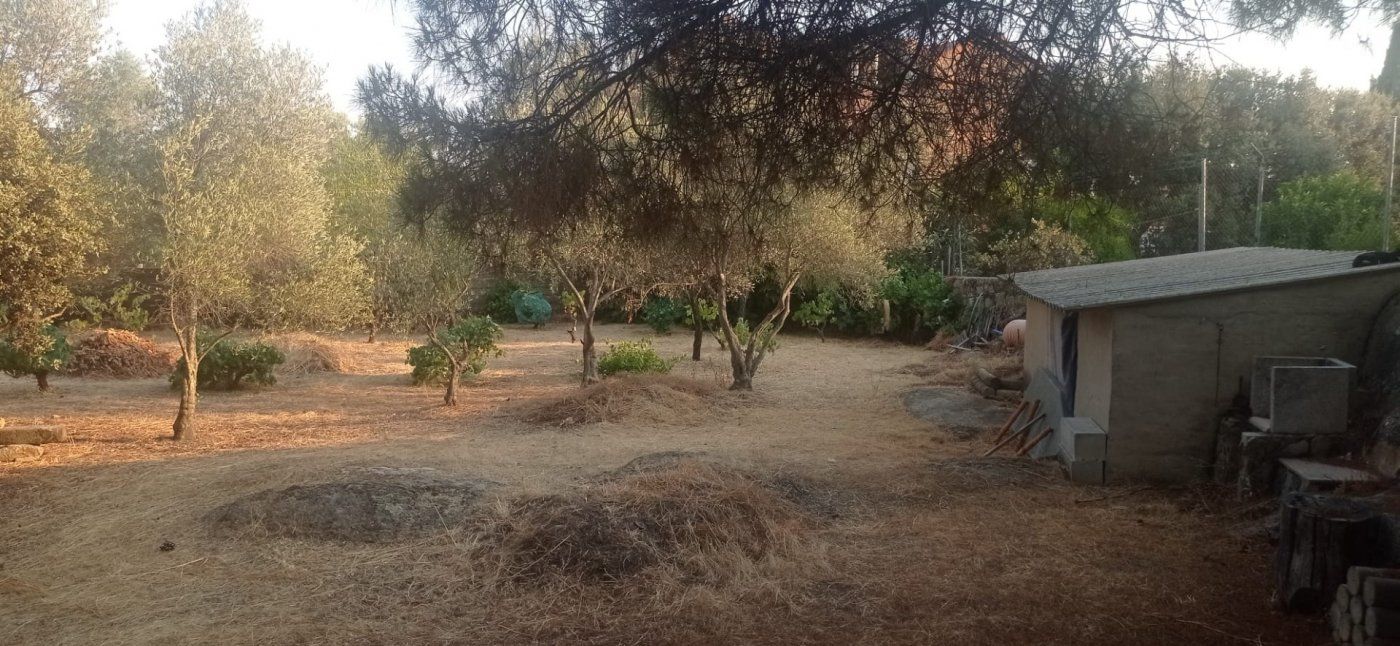 Casa o xalet en venda en Malpartida de Cáceres