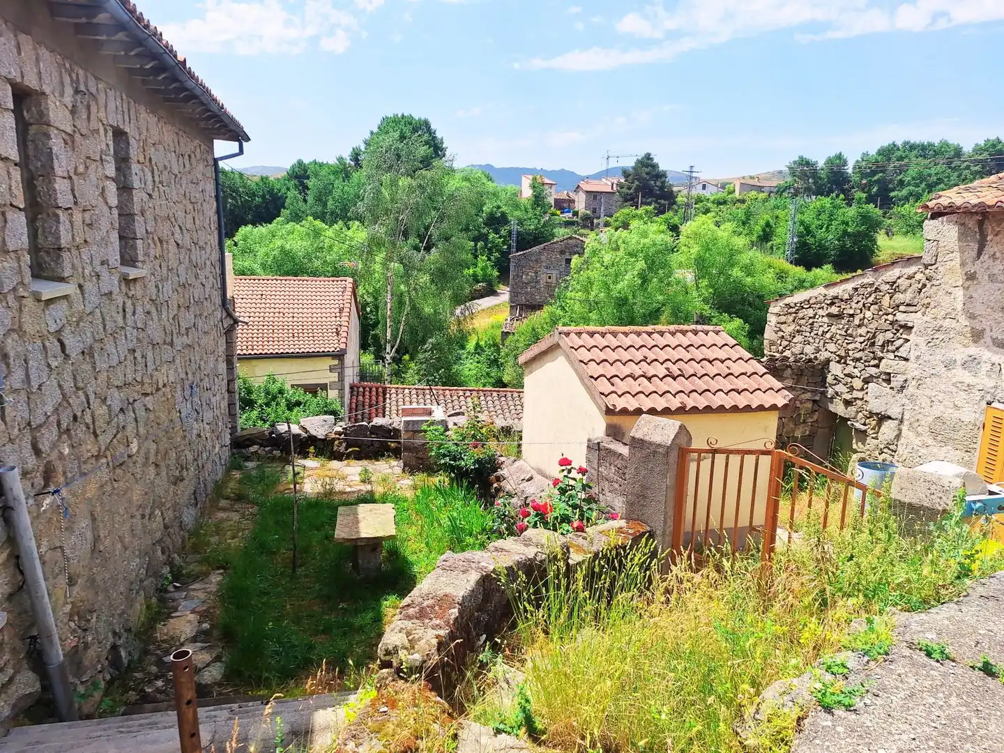 Vista exterior de Casa o chalet en venta en San Martín del Pimpollar