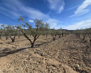 Land for sale in Hondón de las Nieves / El Fondó de les Neus