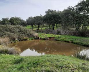 Casa o xalet en venda en Cáceres Capital