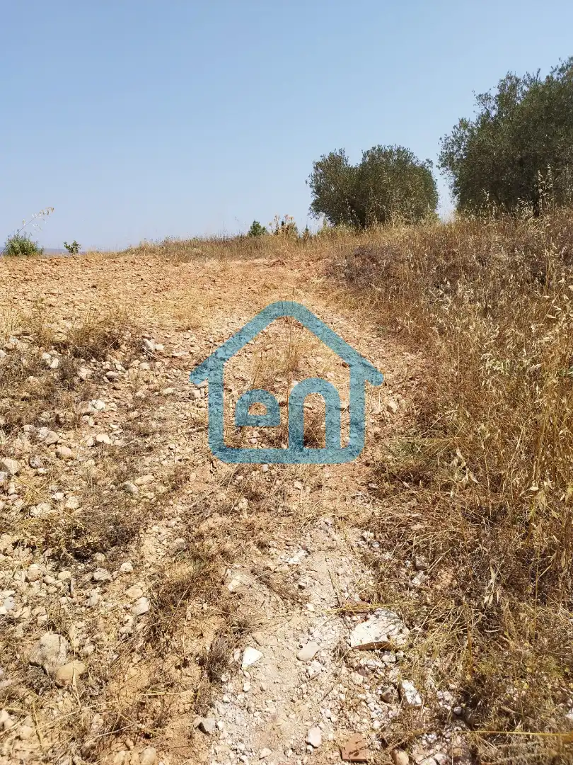 Terreno rustico in vendita a Requena, imagen 10