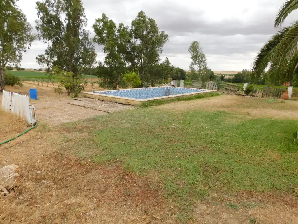 Chalet con piscina en venta en Villanueva de la Serena, imagen 3