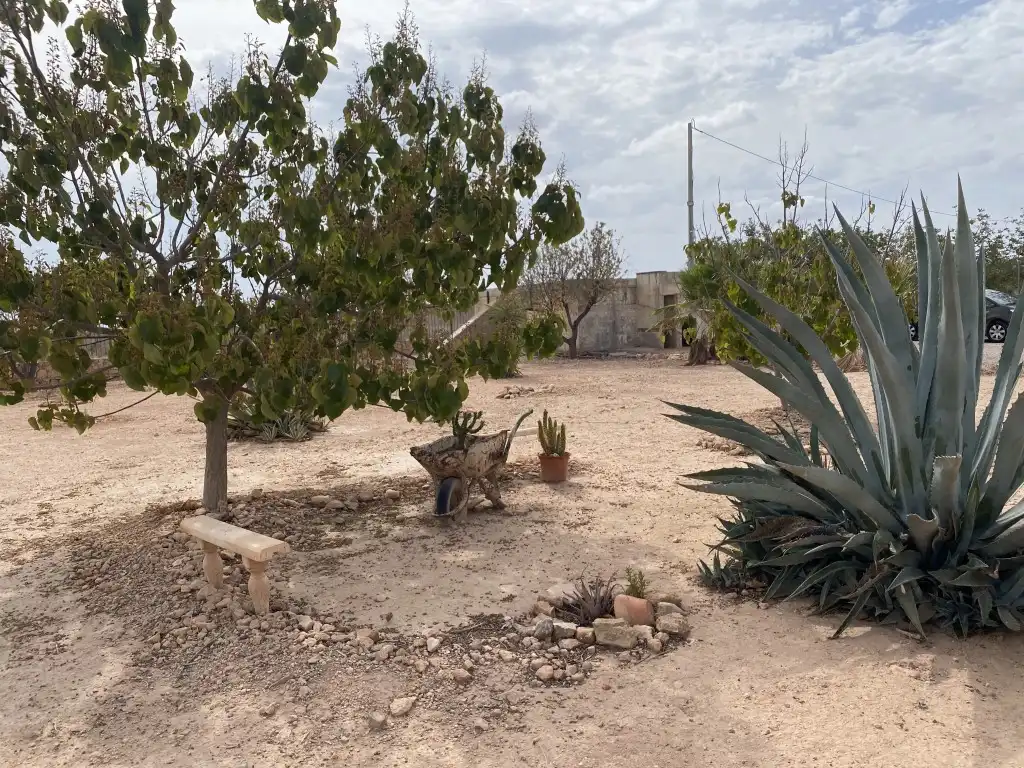 Detached homes for sale in Balsapintada - El Estrecho
