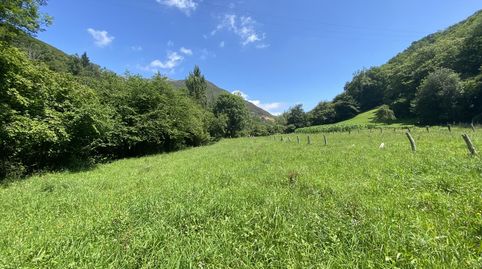 VENTA DE FINCA EN LLENIN, immagine 5