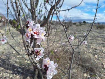 Residential land for sale in Salinas