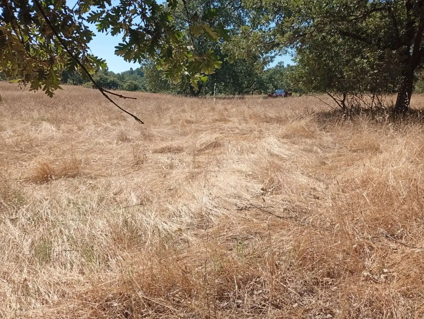 Terreni e lotti in vendita a Villanueva de la Vera, imagen 24