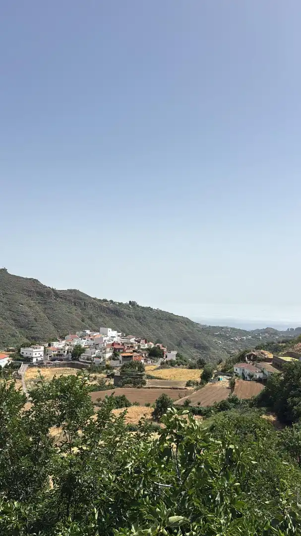 Casa o chalet en venta en Calle el Portillo, 44, Vega de San Mateo