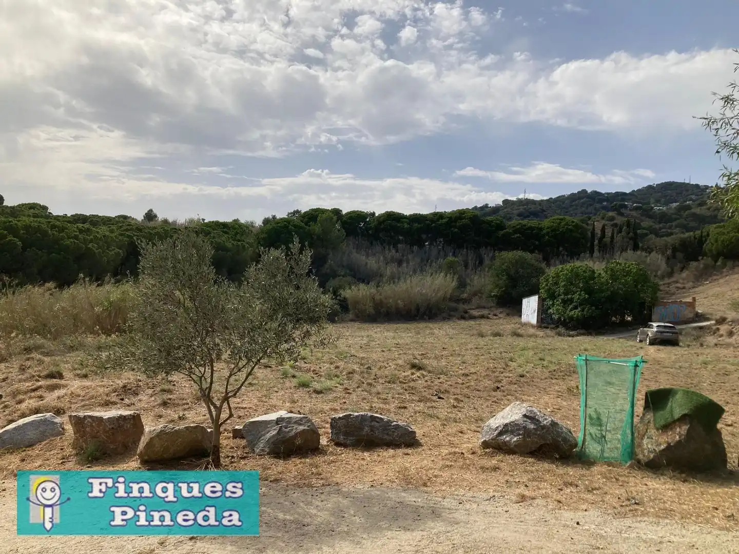 Rural land for sale in Calella, imagen 2